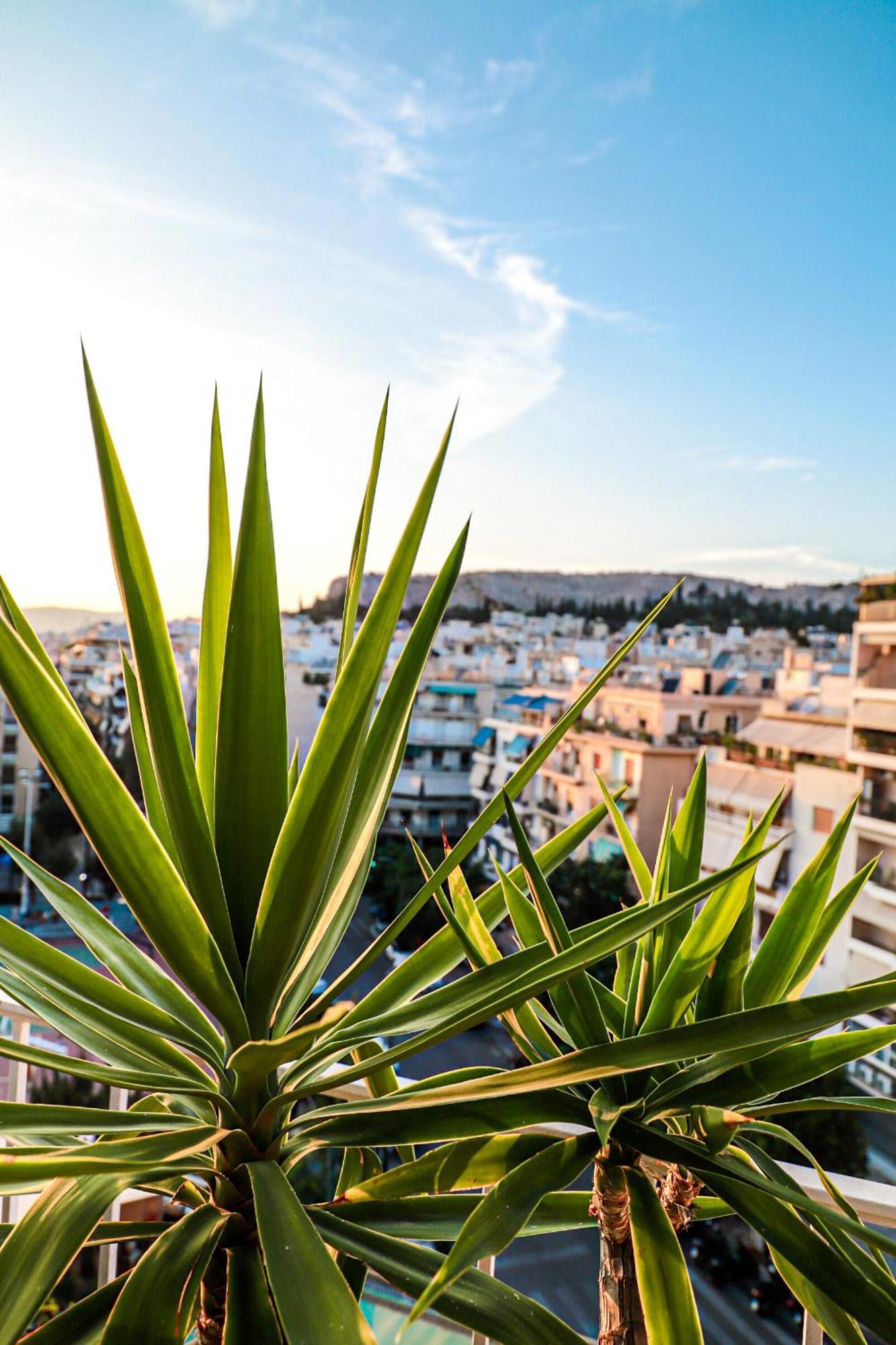 Renovated Apartment With Roof Garden Access, 15 M Walk To Acropolis Αθήνα Εξωτερικό φωτογραφία